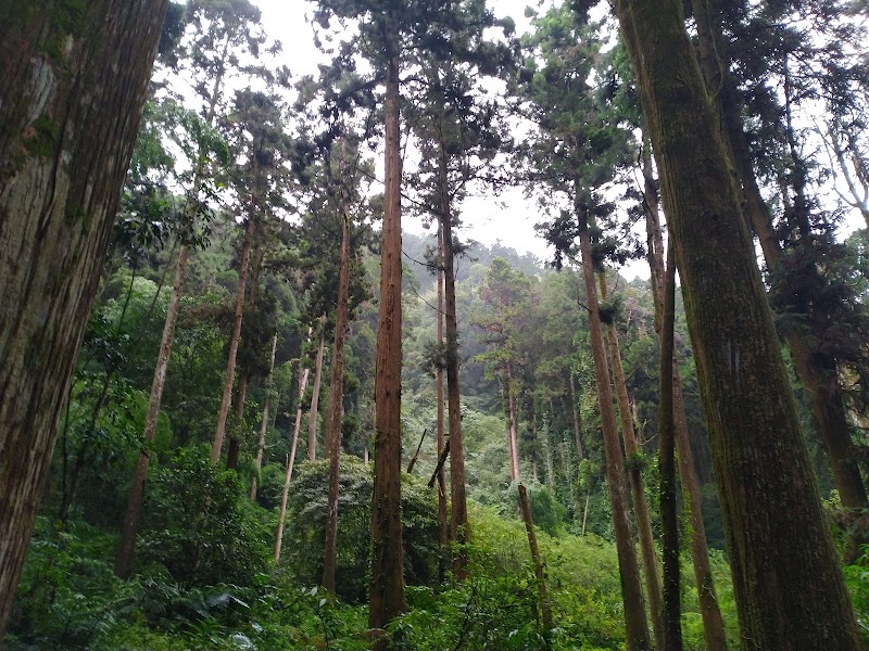 雲之道步道南口 - 雲之道步道南口 Zhonghe Village, Zhuqi Township, Chiayi County, Taiwan 604