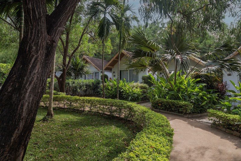 White Wood Resort By Stone Wood Hotels - White Wood Resort By Stone Wood Hotels New wada ,Morjim, Pernem, Morjim, Goa 403512, India