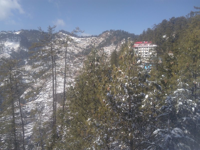 Circuit House - Circuit House, 7F27+8J7, Narkanda, Himachal Pradesh 171213, India