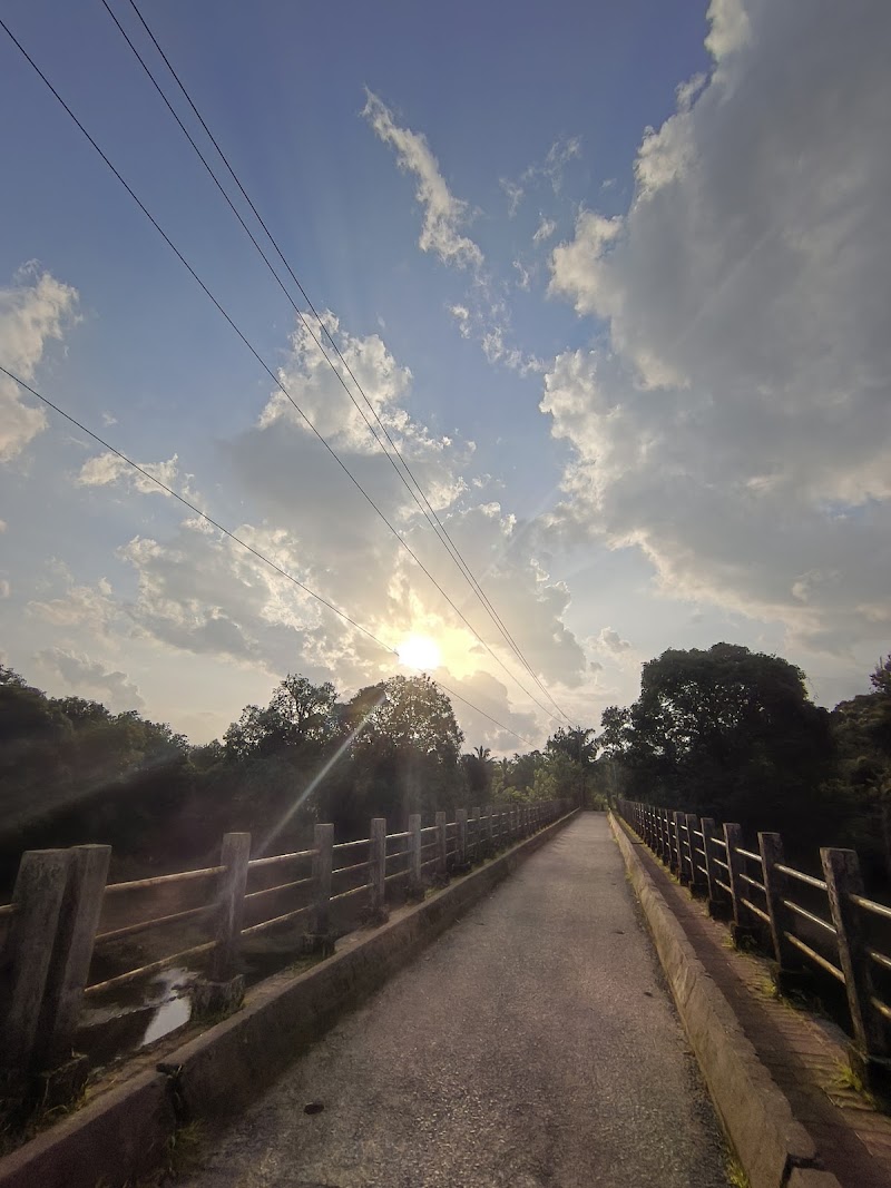Tourism attraction bridge - Tourism attraction bridge C58H+3H, Panas, Goa 403406, India