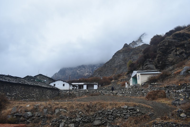 Dantu - Dantu, Uttarakhand 262545, India