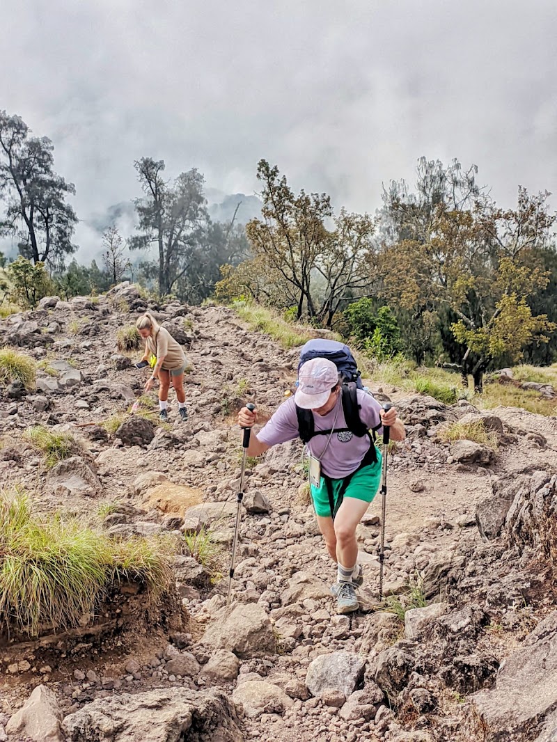 Rinjani Trekking Official - Rinjani Trekking Official, Jalan Raya Anyar - Kopang Ancak, Karang Bajo, Bayan, North Lombok Regency, West Nusa Tenggara 83354, Indonesia