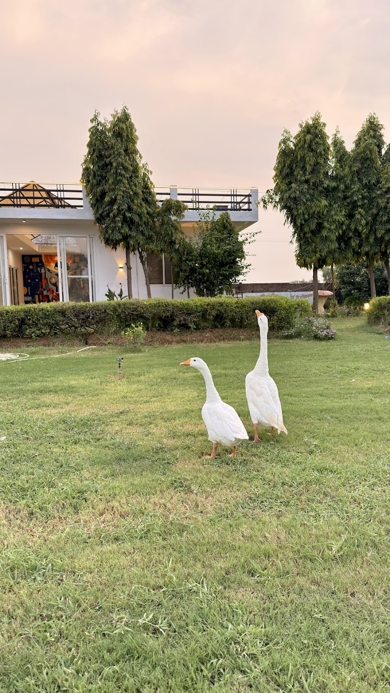 The Royal Farm Sohna – Agro Tourism & Farm Resort
