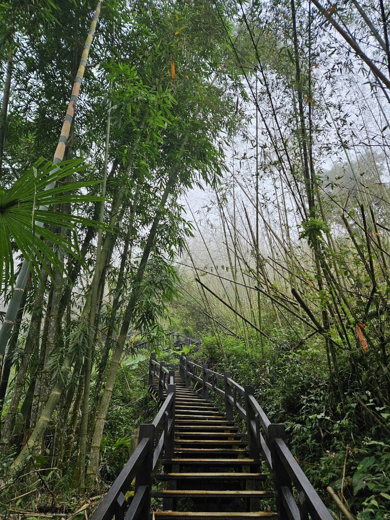 Mist Trail - Mist Trail 604, Taiwan, Chiayi County, Zhuqi Township, 16