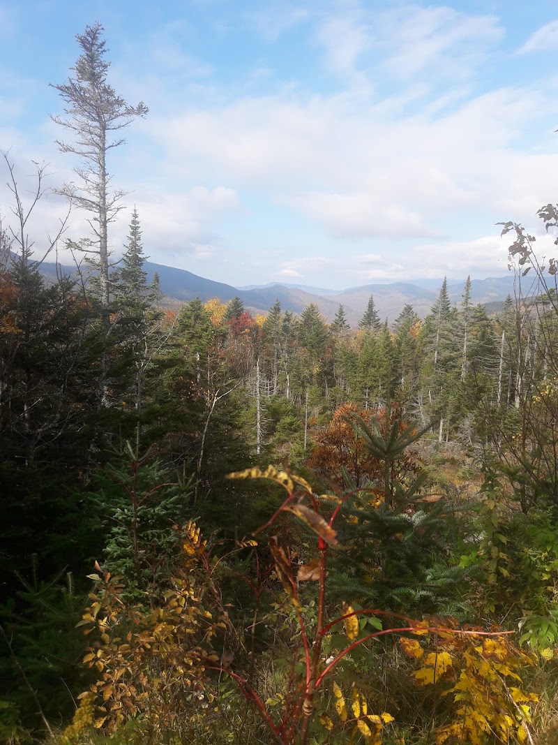 Pemigewasset Overlook - Pemigewasset Overlook Kancamagus Hwy, Albany, NH 03818, USA