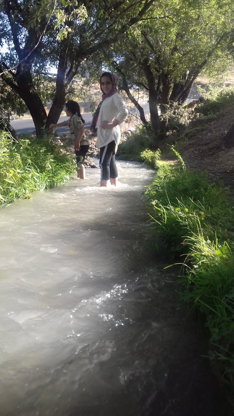 Meshginshahr Forest Park - Meshginshahr Forest Park, 9MWW+V3H, Meshginshahr, Iran