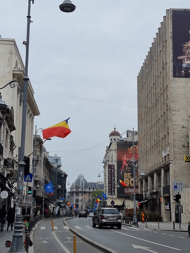 Calea Victoriei - Calea Victoriei, București, Romania