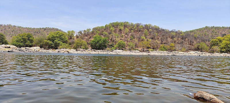 Cauvery Wildlife Sanctuary,Mandya-Ramanagara zone. - Cauvery Wildlife Sanctuary,Mandya-Ramanagara zone., 8862+JQX, Basavana Betta Forest, Karnataka 571421, India