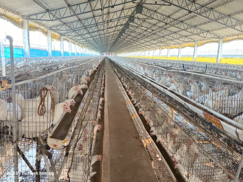 Venkatrama Poultries Limited HO office - Venkatrama Poultries Limited HO office, Raipur, Chhattisgarh 493114, India