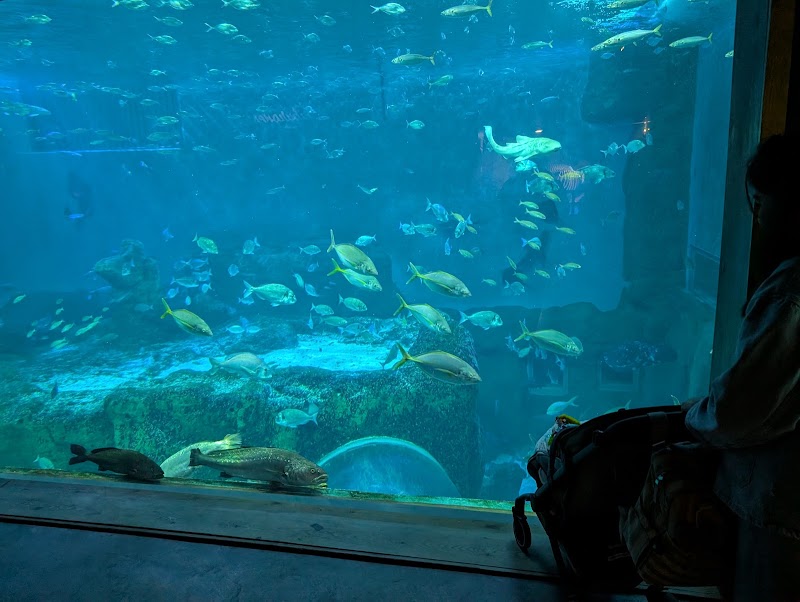 Sevilla Aquarium - Sevilla Aquarium Muelle de las Delicias, s/n, 41012 Sevilla, Spain