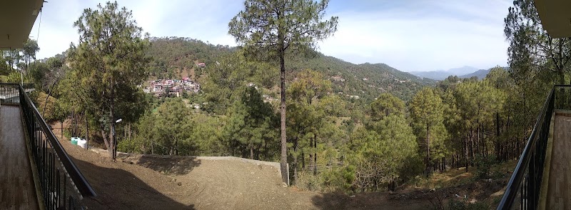 pine villa - pine villa Lawrence school Road Sukhi Johri Chowk, Dharampur, Himachal Pradesh 173209, India