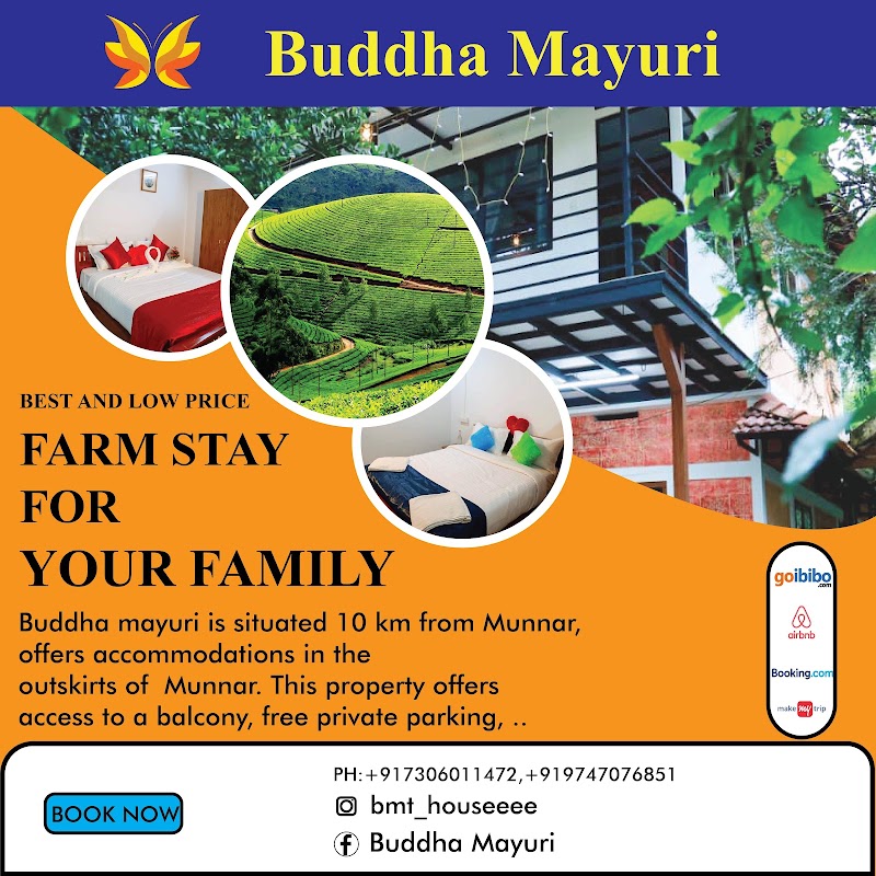 Buddha Mayuri Homestay - Buddha Mayuri Homestay, vayanasala road near anachal ,chithirapuram, Kunchithanny, Munnar, Kerala 685565, India