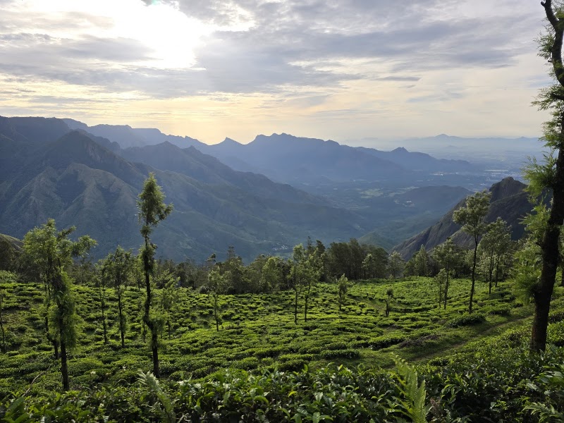 Munnar wings travels & tours - Munnar wings travels & tours office, Bus Stand, near ksrtc, Moolakadai, Munnar, Kerala 685612, India