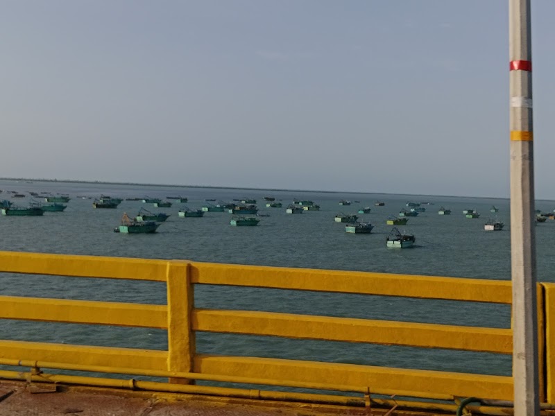 Pullivasal Island - Pullivasal Island, 65RM+2W, Pamban, Tamil Nadu 623518, India