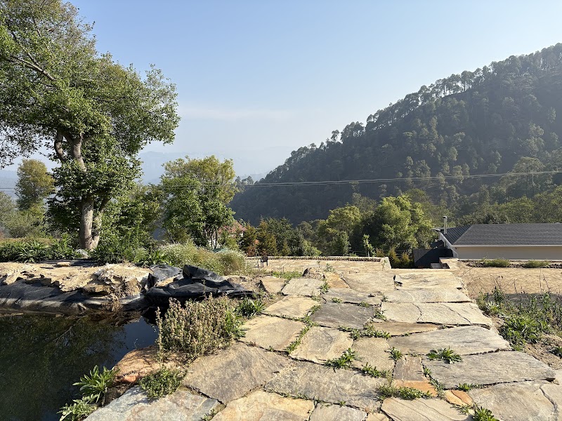 Ambrosia Peora - Ambrosia Peora near Mukteshwar, Talla, Peora, Uttarakhand 263158, India