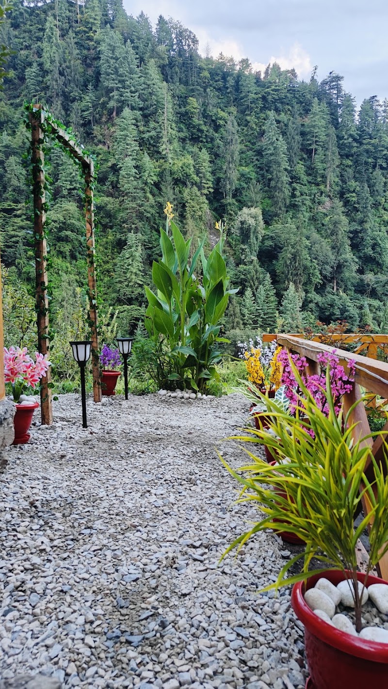 Jibhi Diaries Homestay - Jibhi Diaries Homestay Village ghiyagi post office jibhi, tehsil, Banjar, Ghiyagi, Himachal Pradesh 175123, India