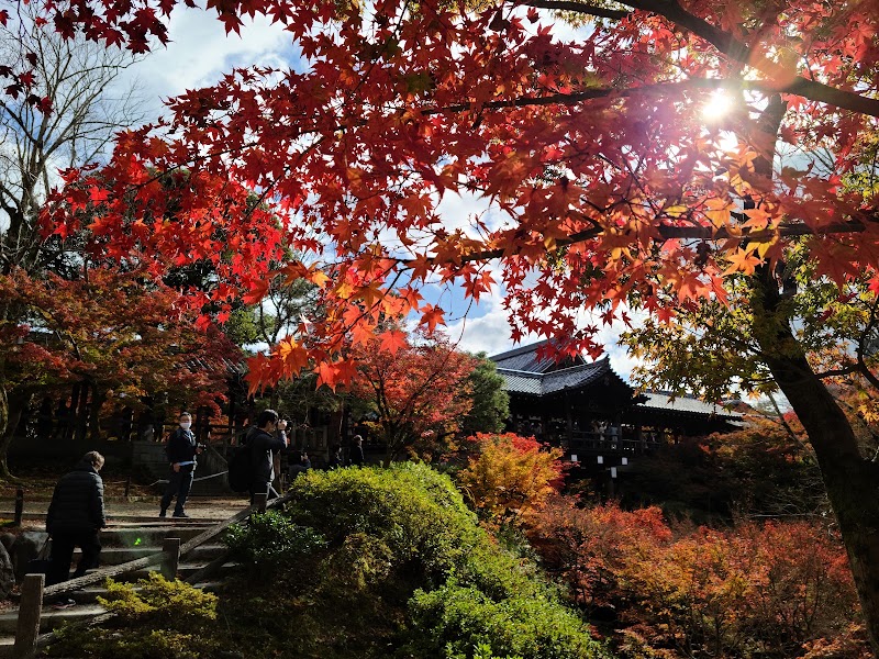 Tōfuku-ji Temple - Tōfuku-ji Temple 15-chōme-778 Honmachi, Higashiyama Ward, Kyoto, 605-0981, Japan