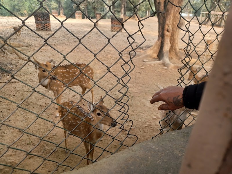 Sarnath Park Varanasi - Sarnath Park Varanasi 92JG+C8H, Sarnath, Varanasi, Uttar Pradesh 221007, India