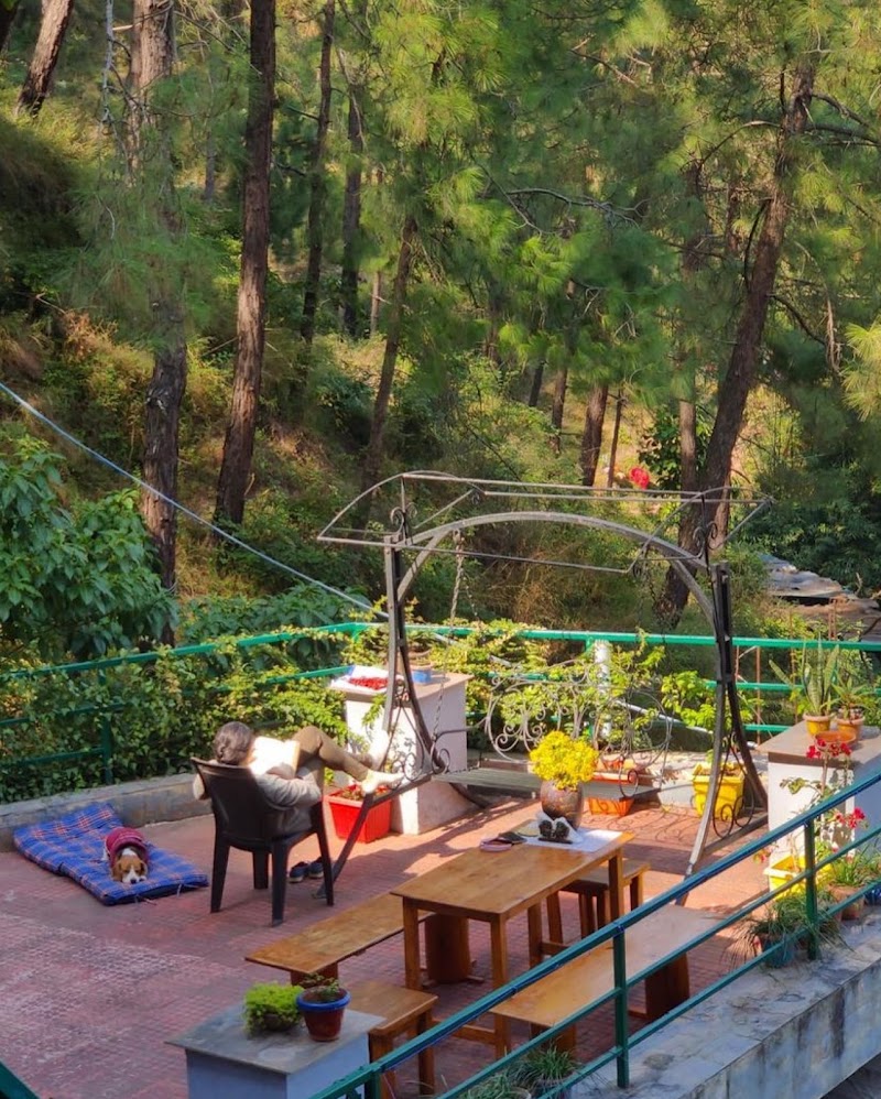 Bunker In The Hills - Bunker In The Hills Garkhal Kanda Rd, Kasauli, Himachal Pradesh 173201, India