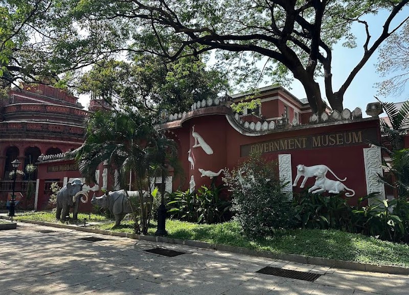 Government Museum Chennai - Government Museum Chennai Pantheon Rd, Egmore, Chennai, Tamil Nadu 600008, India
