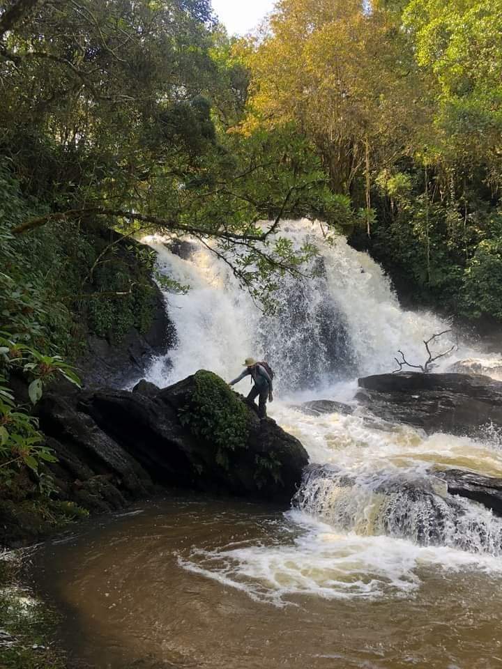 Ambewela - Ambewela, Sri Lanka