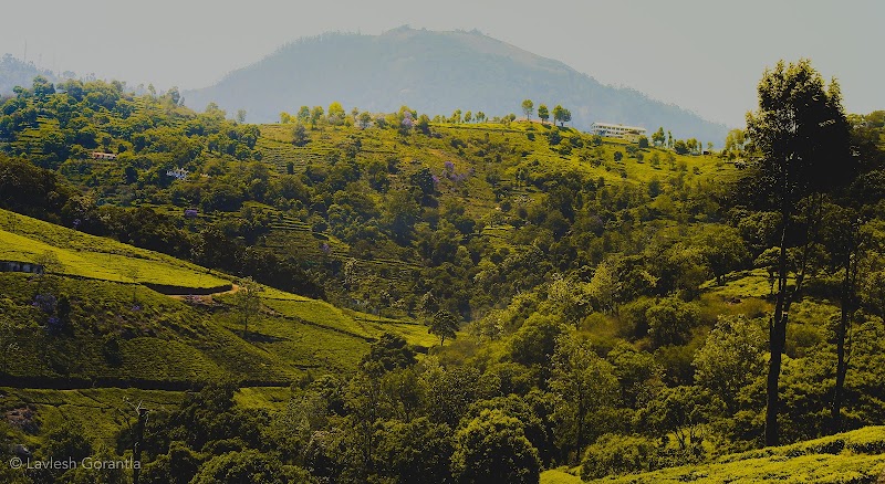 Kotagiri - Kotagiri Kotagiri, Tamil Nadu, India