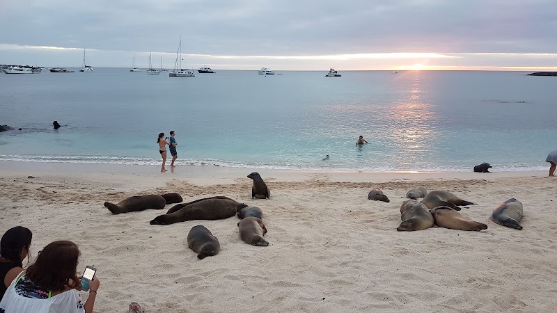 Playa Mann - Playa Mann, Puerto Baquerizo Moreno, Ecuador