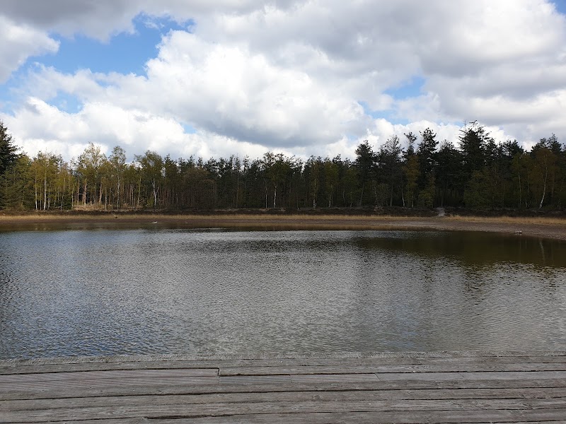 Somerense Heide - Somerense Heide, 5711 RJ Someren, Netherlands