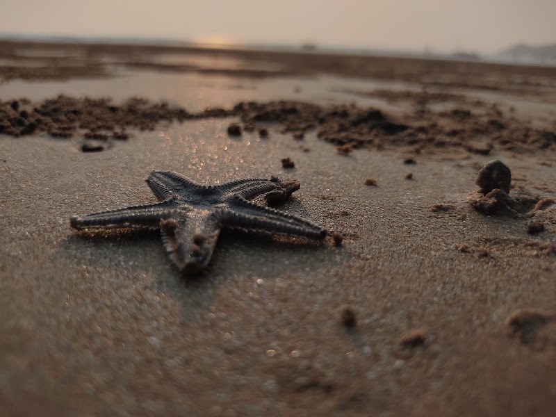 Advika Beach - Advika Beach 476G+XX9, Ratnagiri, Maharashtra 415620, India