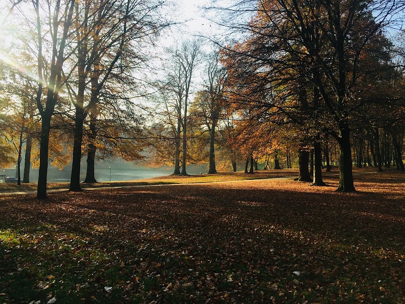 Cambre Woods - Cambre Woods Brussels, Belgium