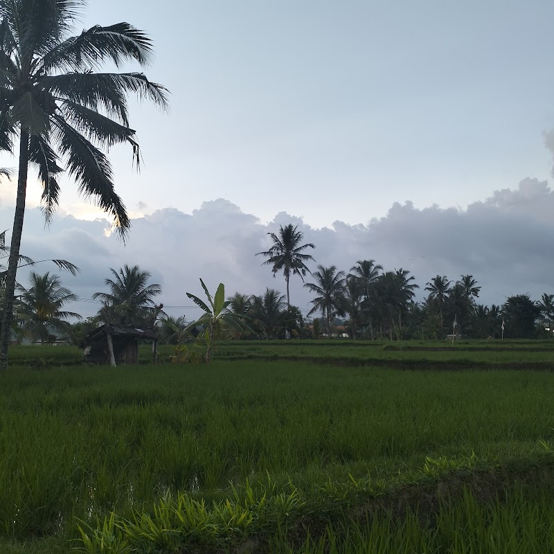 Puri Tangsub - Puri Tangsub, Jl. Raya Sebali, Keliki, Kec. Tegallalang, Kabupaten Gianyar, Bali 80561, Indonesia