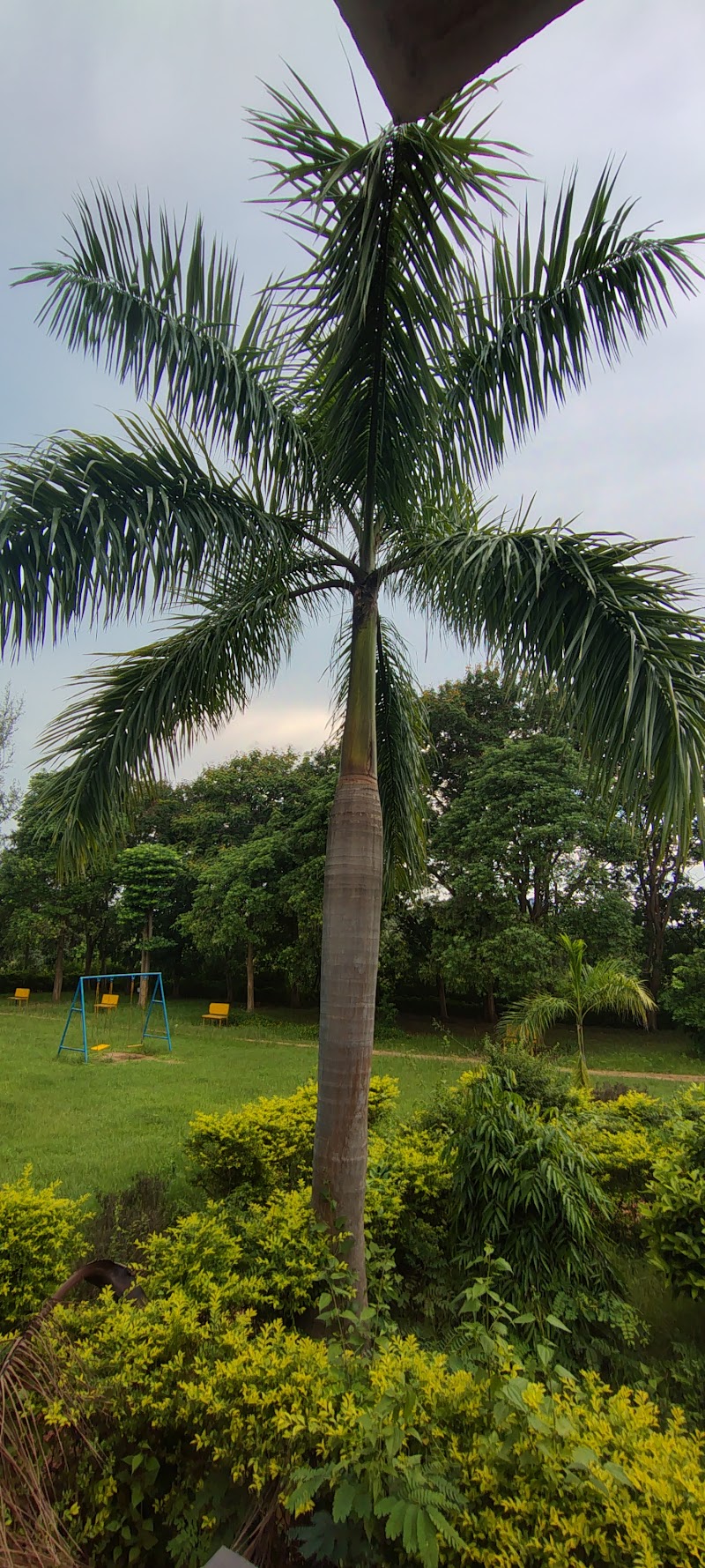 Indira Gandhi Park - Indira Gandhi Park, C877+8G7, Dangabahal, Odisha 767070, India