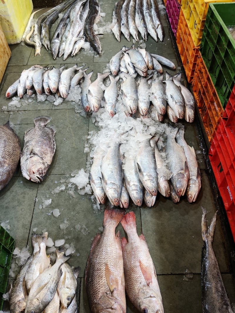 PEARL SEA FOOD - PEARL SEA FOOD, First Floor, A wing, EXPRESS ZONE, F-72, Western Urban rd, Malad, Panch Bawadi, Malad East, Mumbai, Maharashtra 400063, India