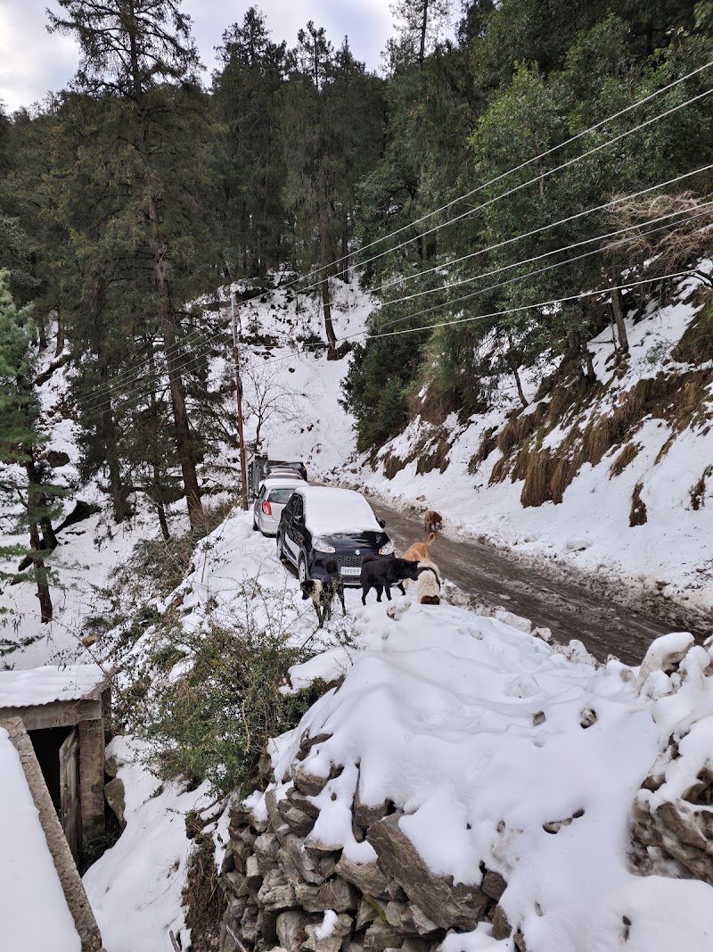 New Prem Jee's - New Prem Jee's Chowk, Mashobra, Himachal Pradesh 171007, India