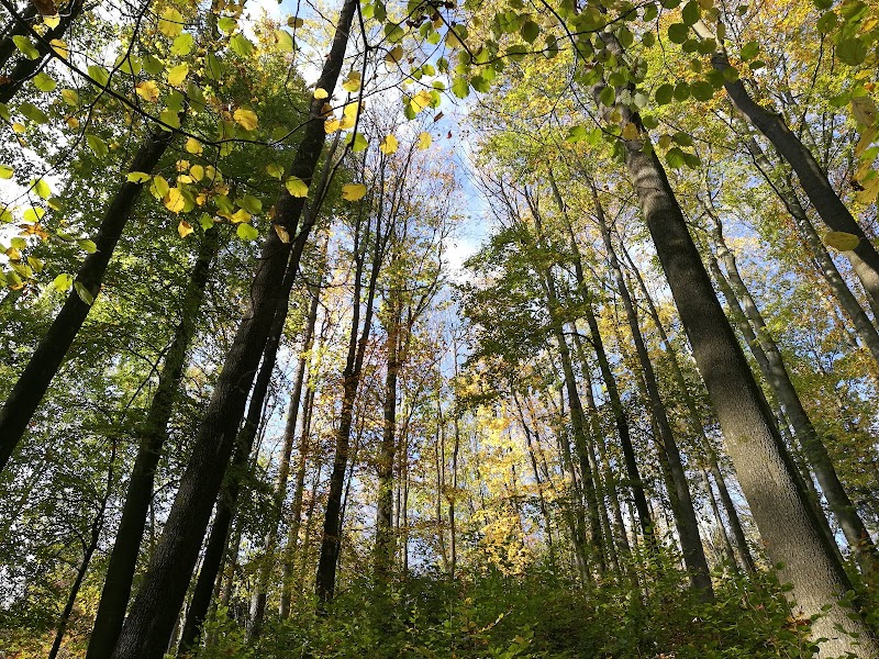 Lime Kiln Hill - Lime Kiln Hill, 407 47 Krásná Lípa-Varnsdorf 1, Czechia