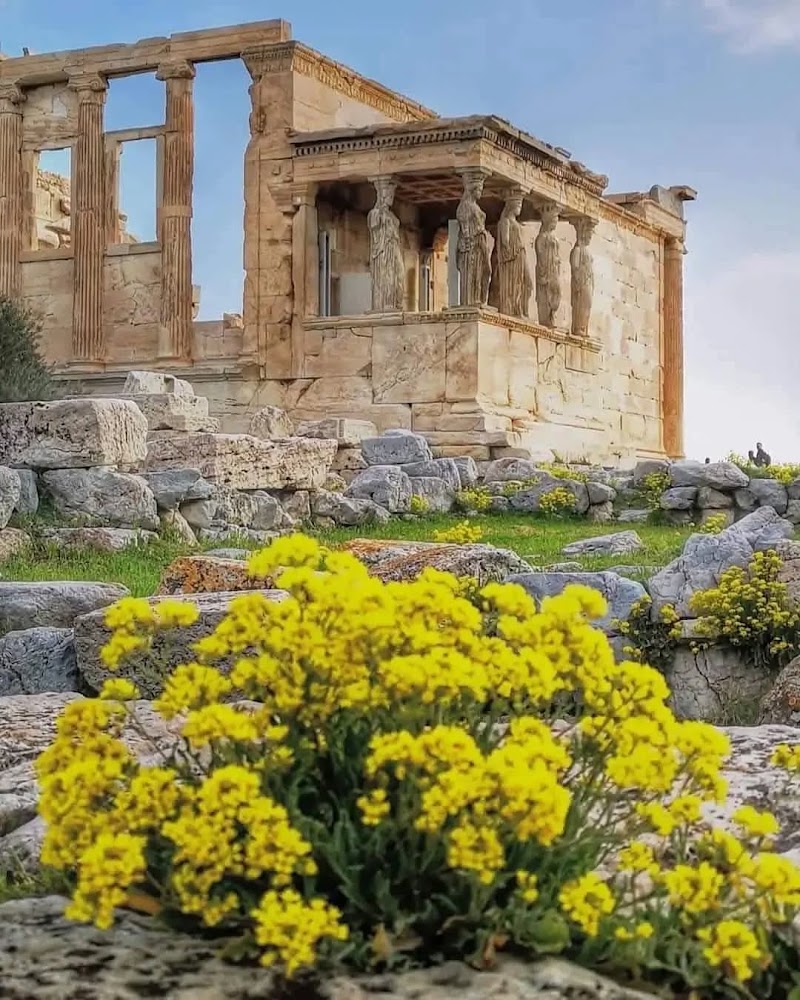 Another Langue - Greek Language School - Another Langue - Greek Language School, Panepistimiou 57, Athina 105 64, Greece