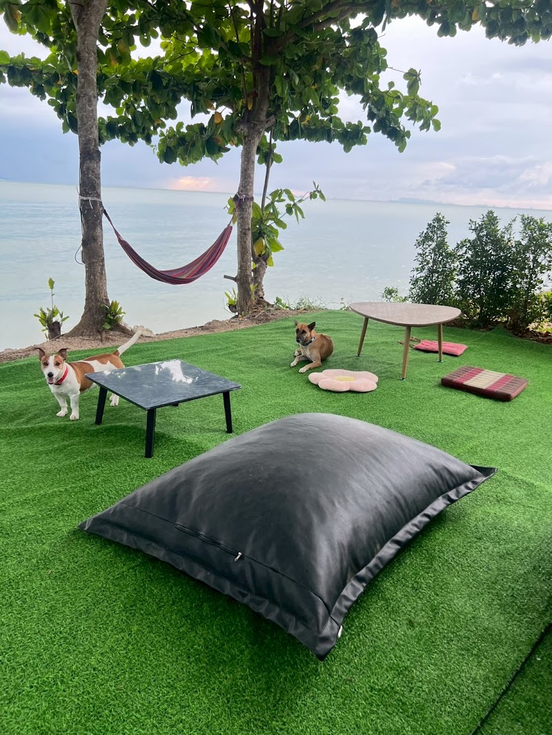 Beach Yard Hostel