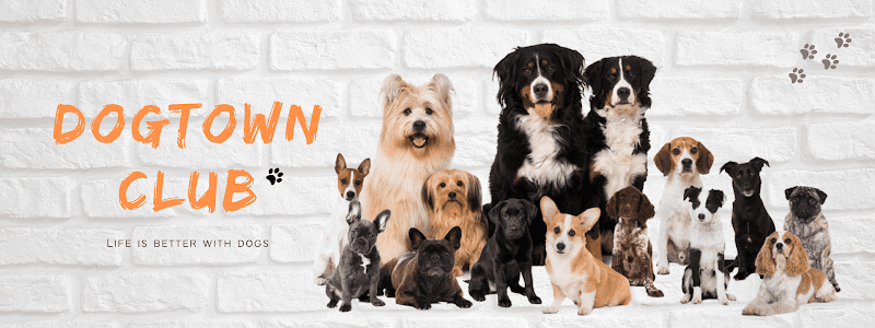 DogTown club