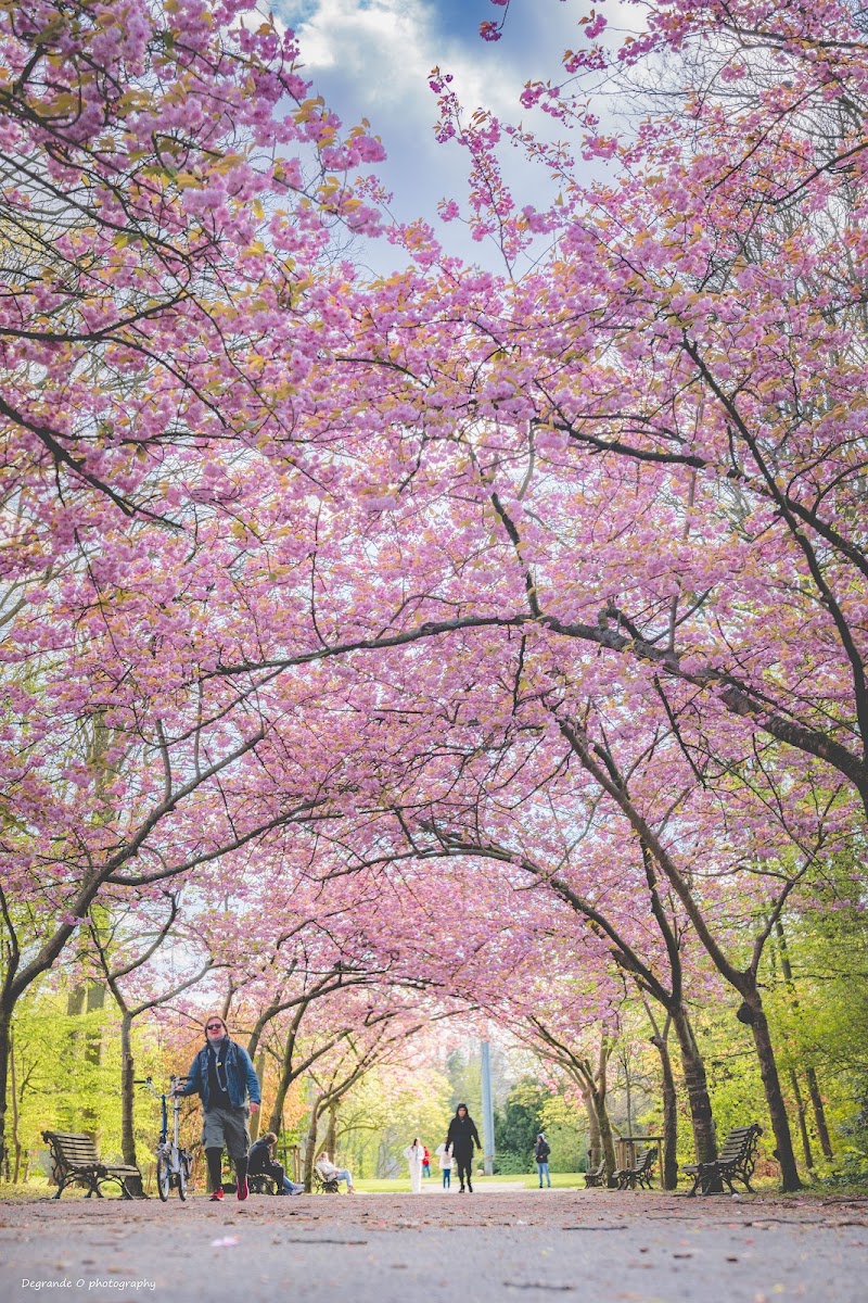 Josaphat Park