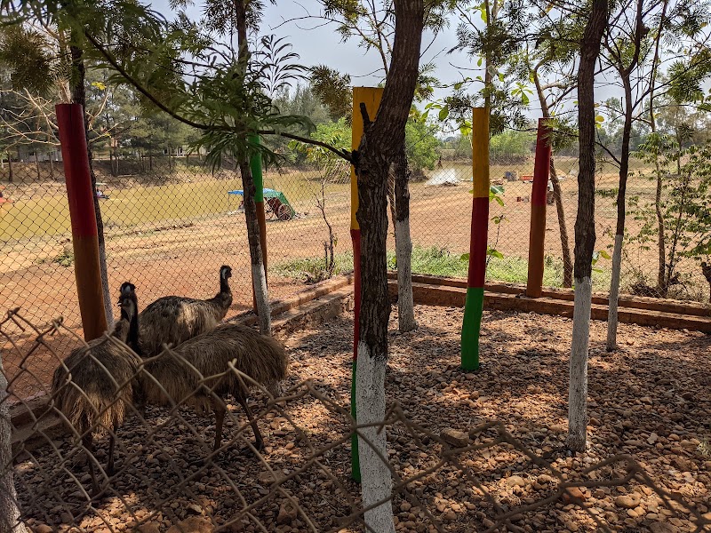 Agadi Thota - Agadi Thota, Tadas - Hangal Road, Shiggaon Taluk, Kunnur, Karnataka 581193, India
