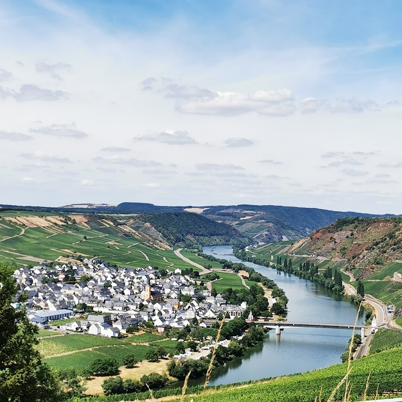 Moselle - Moselle