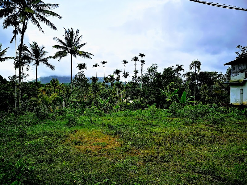 Nenmeni - Nenmeni, Keralam, India