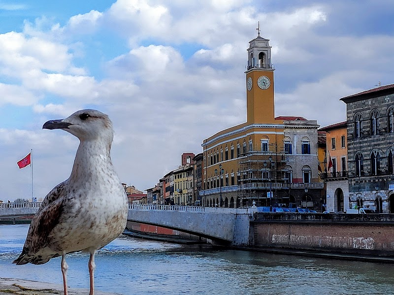Ponte di Mezzo - Ponte di Mezzo, 56125 Pisa PI, Italy