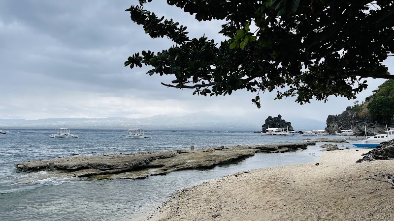 Rock west beach - Rock west beach, 37F9+8FF, Habagat Eco Trail, Apo Island, Dauin, Negros Oriental, Philippines