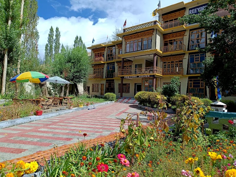 Reeyork Native Ladakhi