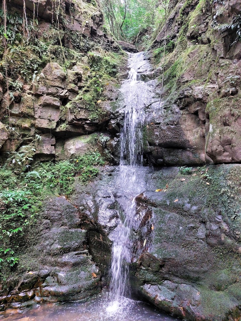 Malki Forest - Malki Forest HV5P+PJH, Unnamed Road, Malki, Shillong, Meghalaya 793003, India
