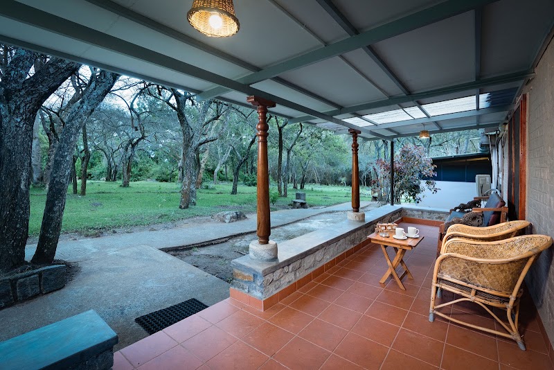 Jungle Hut - Jungle Hut Bokkapuram, Masinagudi, Sholur, Tamil Nadu 643223, India