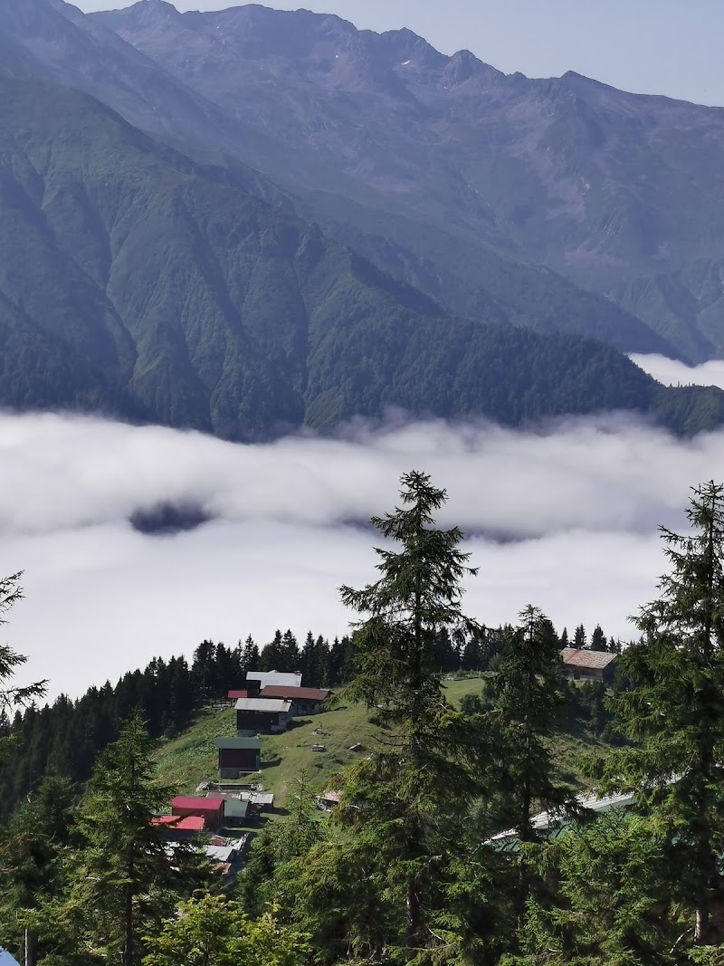 POKUT - POKUT Pokut Yaylası, 53780 Ortanköy/Çamlıhemşin/Rize, Türkiye