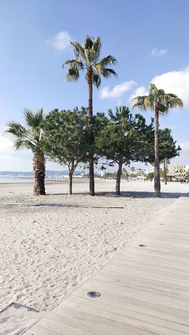 Plage Publique de la Lanterne,chiens autorisés - Plage Publique de la Lanterne,chiens autorisés 300 Prom. des Anglais, 06200 Nice, France