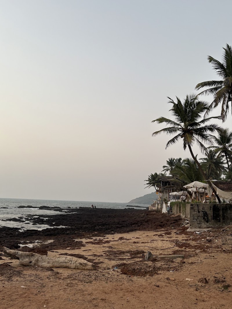 Rock beach view of Anjuna Beach Goa - Rock beach view of Anjuna Beach Goa HPHQ+V72, Dmello Vaddo, Anjuna, Goa 403509, India